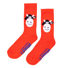 Load image into Gallery viewer, Carpet Company Season 22 Dinosaur Jr Cow Sock